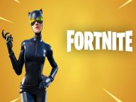 Catwoman outfit in Fortnite2