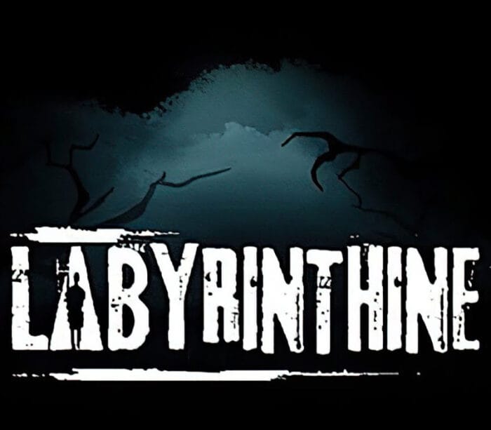 Labyrinthine PC Steam - Bilde 1