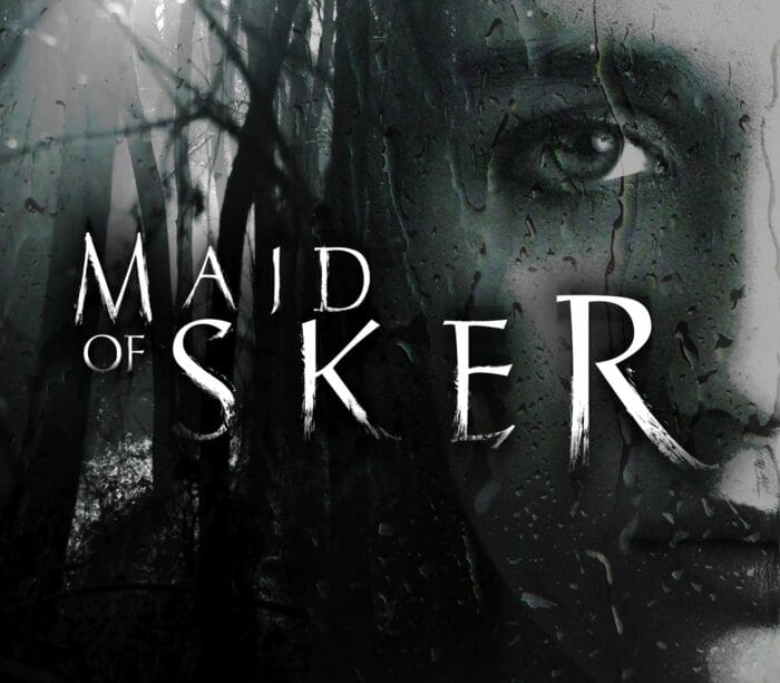 Maid_of_Sker800.jpg Maid of Sker EU PC Steam - Bilde 1