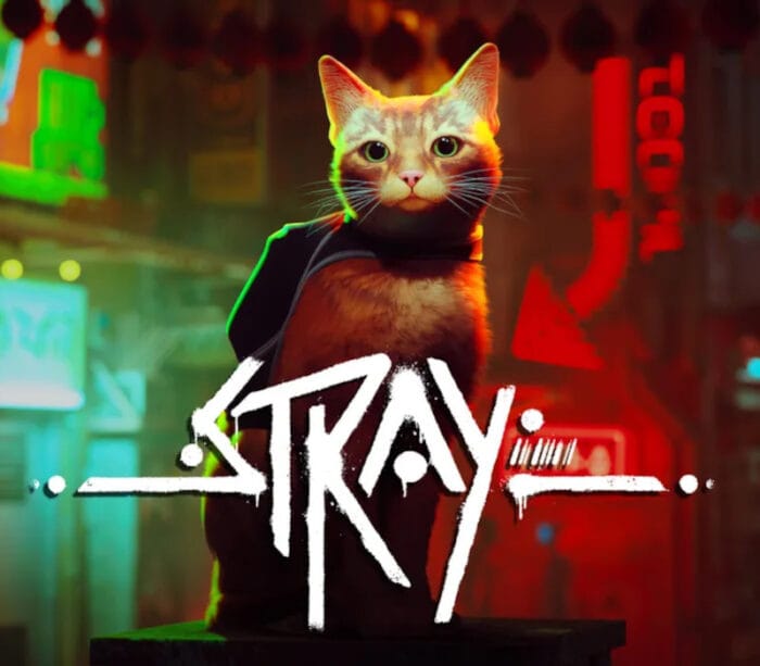 Stray800.jpg Stray EU XBOX One / Xbox Series X|S / Windows 10 - Bilde 1