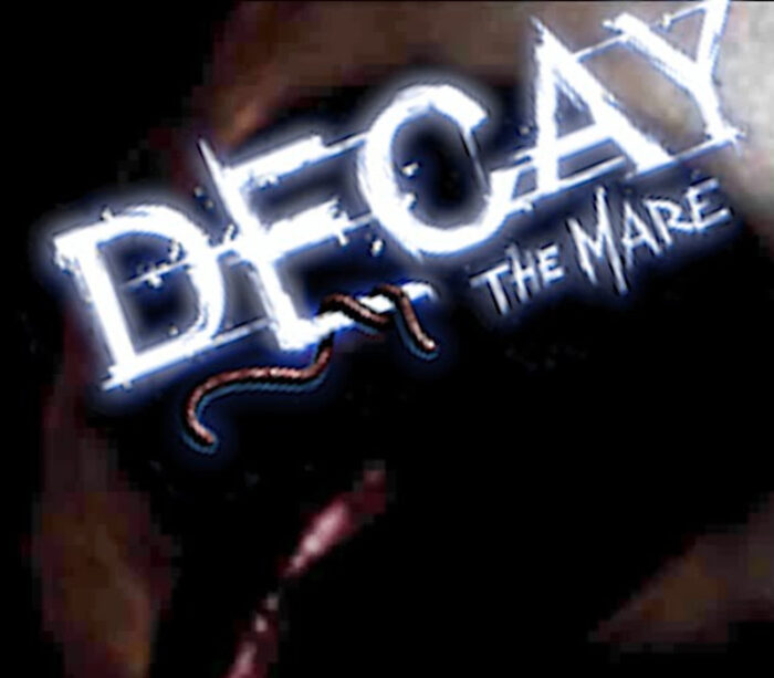 Decay: The Mare  PC Steam - Bilde 1