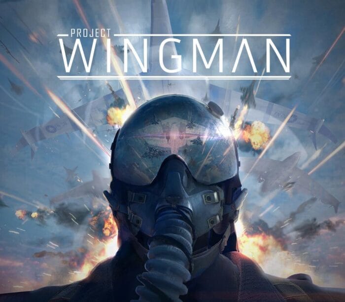 Project Wingman EU  PC Steam - Bilde 1