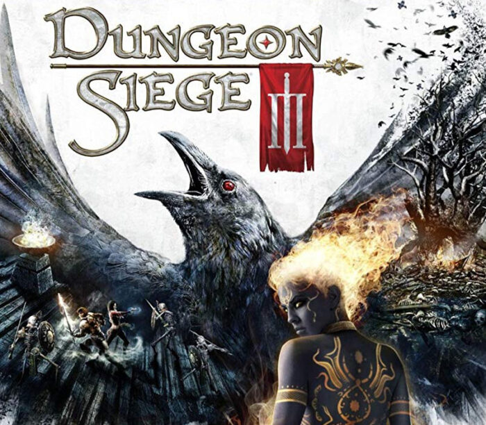 dung_800_2.jpg Dungeon Siege III PC Steam - Bilde 1